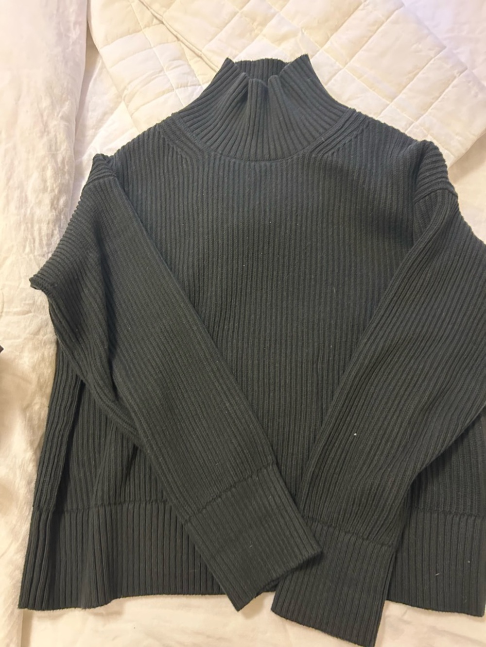 Everlane Ribbed Turtleneck Sweater - black